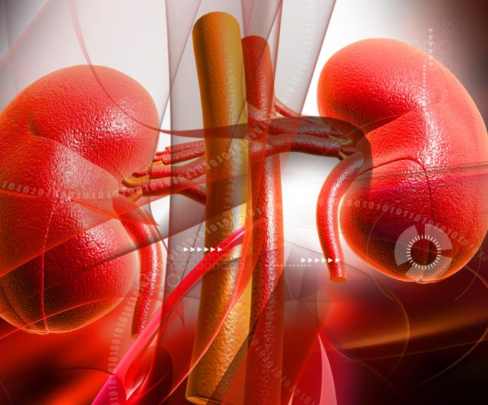 慢性腎臟病第三階段：原因、癥狀和治療