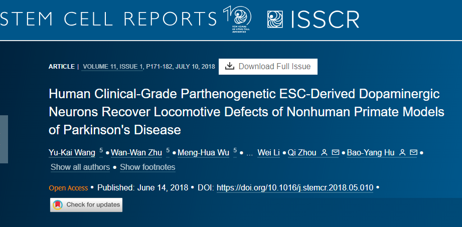 人類臨床級孤雌生殖 ESC 衍生的多巴胺能神經(jīng)元可恢復(fù)非人類靈長類動(dòng)物帕金森病模型的運(yùn)動(dòng)缺陷