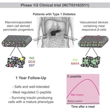 1/2期臨床試驗(yàn)(NCT03163511)