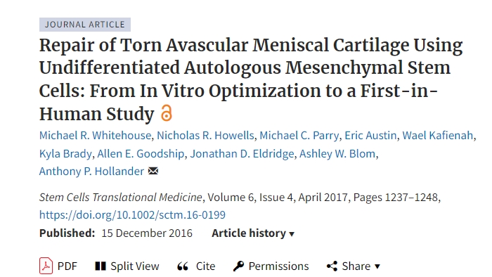 使用未分化自體間充質(zhì)干細(xì)胞修復(fù)撕裂的無(wú)血管半月板軟骨：從體外優(yōu)化到首次人體研究