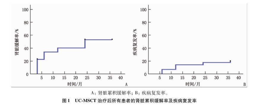 圖1 UC-MSCT 治療后所有患者的腎臟累積緩解率及疾病復(fù)發(fā)率