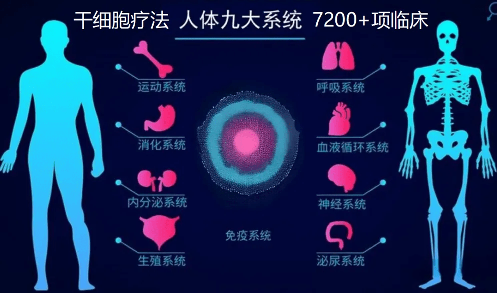 干細胞療法人體九大系統(tǒng)7200+項臨床