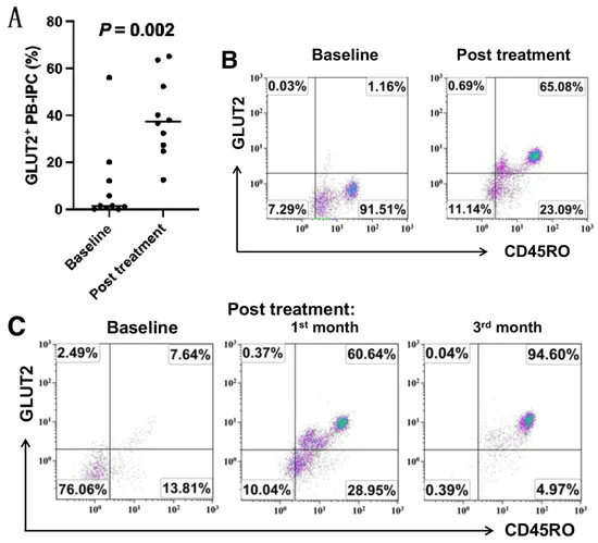 圖1：接受干細(xì)胞教育療法治療后，患者中GLUT2+CD45RO+PB-IPC 的百分比增加