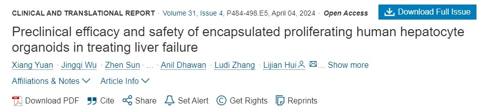 封裝增殖人肝細(xì)胞類器官治療肝功能衰竭的臨床療效和安全性