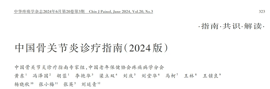 中國骨關節(jié)炎診療指南（2024版）