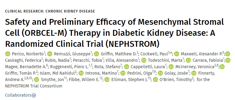 間充質(zhì)基質(zhì)細胞（ORBCEL-M）治療糖尿病腎病的安全性和初步療效：隨機臨床試驗（NEPHSTROM）