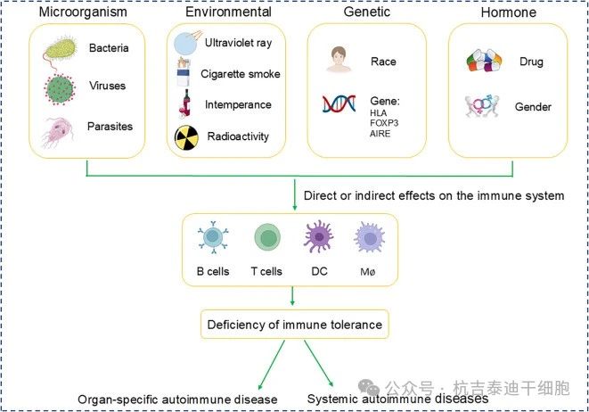 圖1：自身免疫性疾病的致病因素
