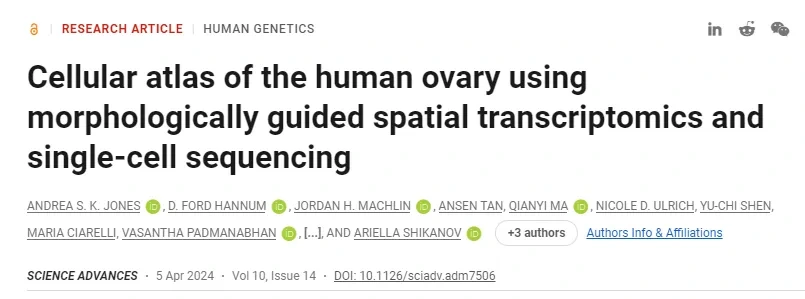 利用形態(tài)引導(dǎo)的空間轉(zhuǎn)錄組學(xué)和單細(xì)胞測序繪制人卵巢細(xì)胞圖譜