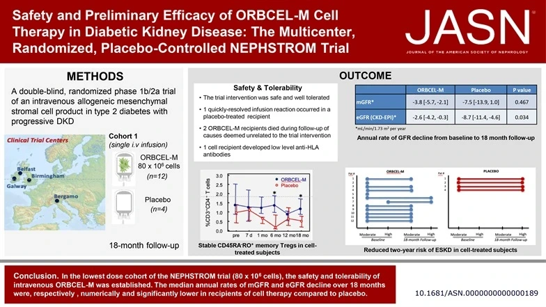 間充質(zhì)基質(zhì)細胞 (ORBCEL-M) 治療糖尿病腎病的安全性和初步療效：一項隨機臨床試驗 (NEPHSTROM)