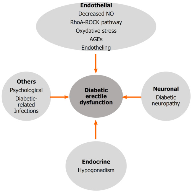 影響糖尿病性勃起功能障礙的因素