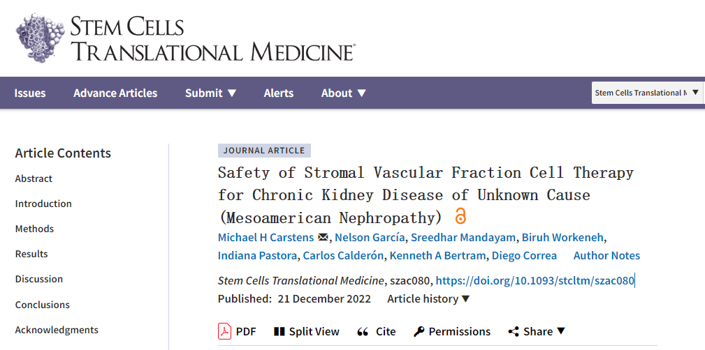 間充質(zhì)干細胞治療不明原因慢性腎臟病的安全性