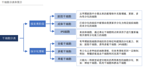 干細(xì)胞分類