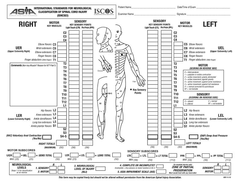 脊髓損傷神經學分類國際標準 (ISNCSCI)