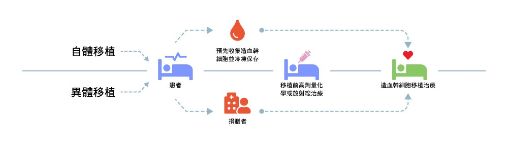 造血干細(xì)胞移植流程