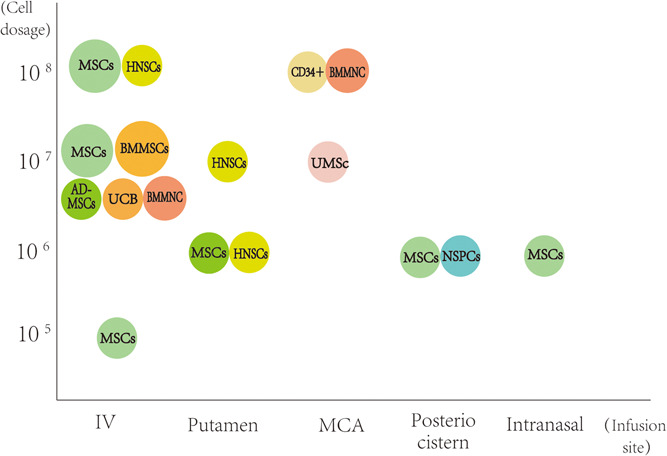 圖1：臨床試驗中細胞類型、劑量和輸注部位之間關系的可視化