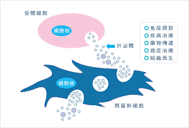 用干細胞外泌體療法治療帕金森病