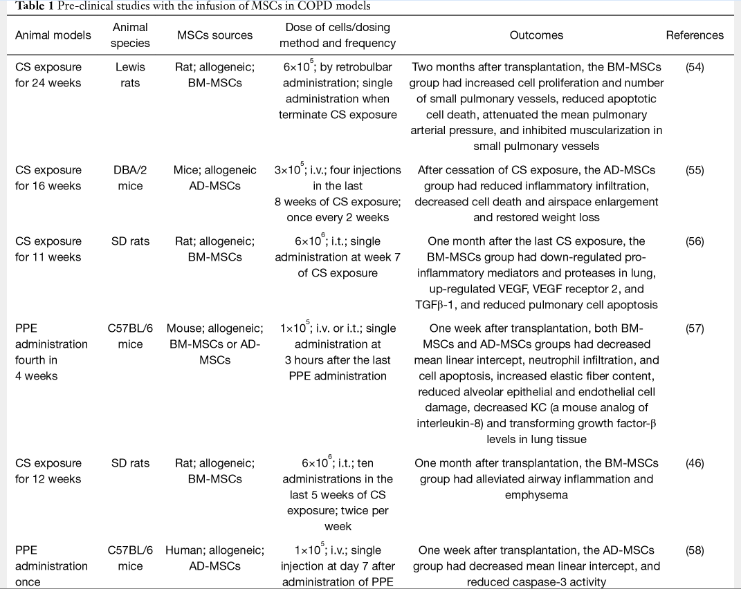 表1：在COPD模型中輸注間充質(zhì)干細(xì)胞的臨床前研究