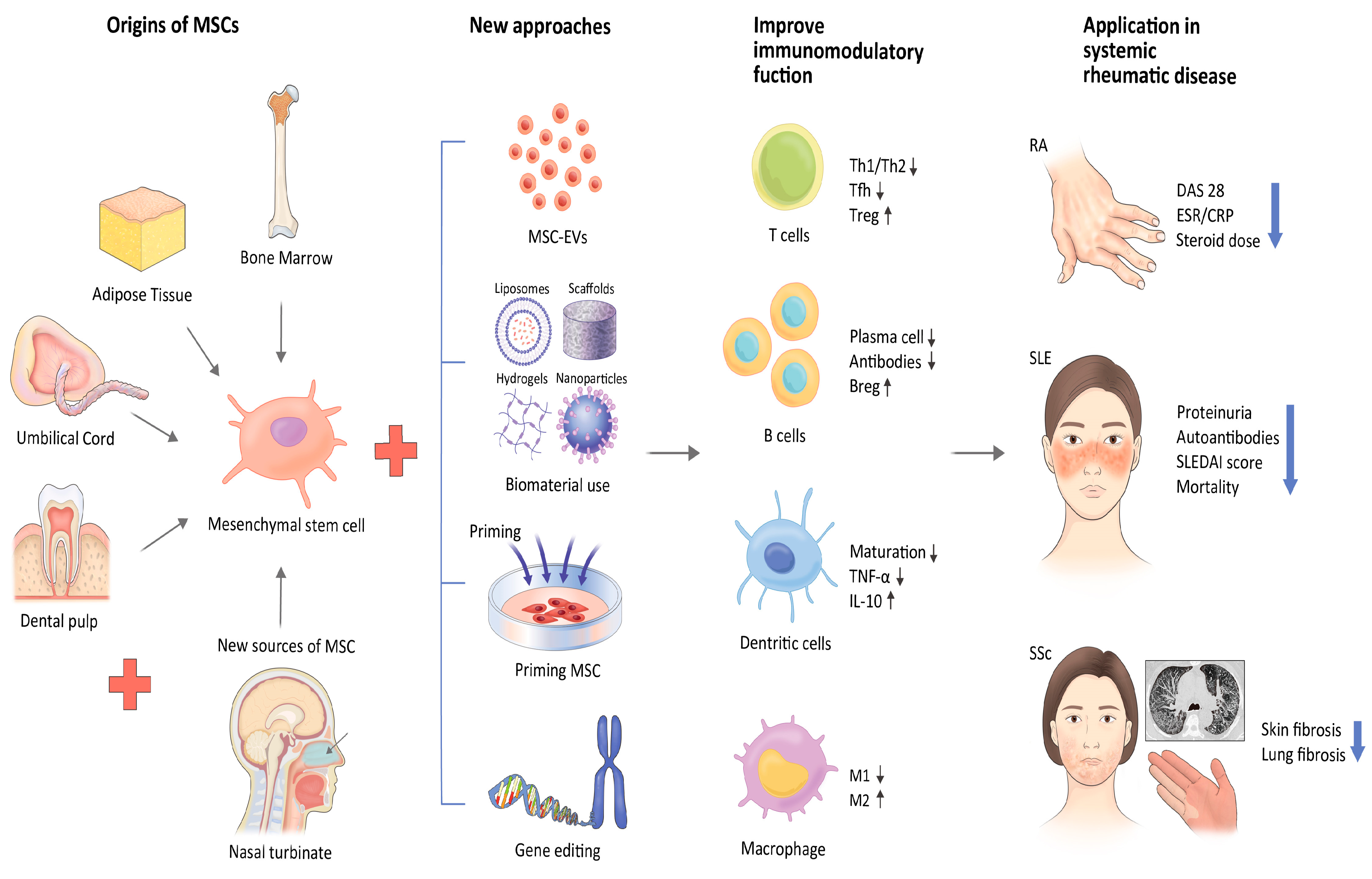 圖1：應(yīng)對間充質(zhì)干細(xì)胞治療風(fēng)濕性疾病挑戰(zhàn)的新策略