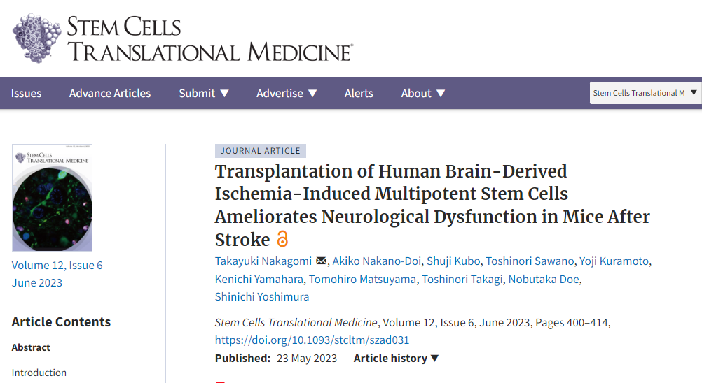 《干細胞轉換醫(yī)學》：移植人多能干細胞可改善中風后小鼠的神經(jīng)功能障礙
