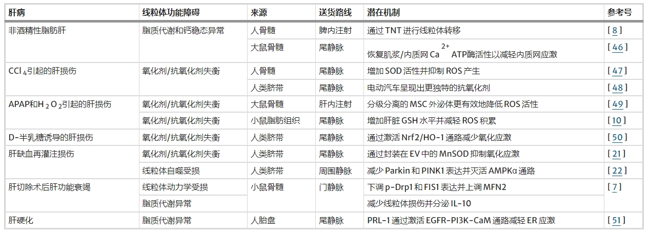 表1：間充質(zhì)干細(xì)胞在肝病中線粒體功能障礙調(diào)節(jié)的總結(jié)