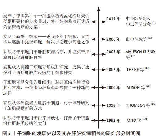 圖 3 ｜干細(xì)胞的發(fā)展史以及其在肝臟疾病相關(guān)的研究部分時(shí)間圖