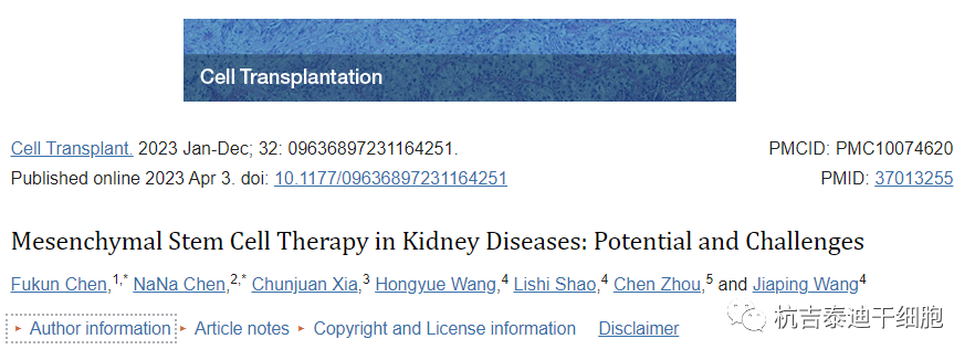 細胞移植：間充質干細胞治療腎臟疾病的潛力和挑戰(zhàn)