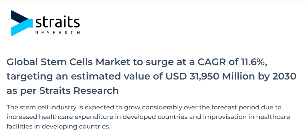 全球干細(xì)胞市場復(fù)合年增長率將達(dá)到11.6%，預(yù)計到2030年價值將達(dá)到319.5億美元