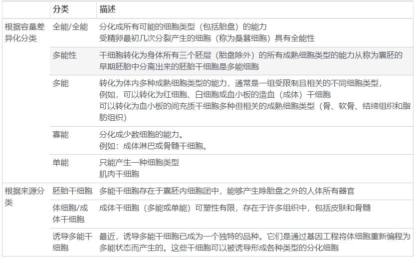 表2：干細胞的分類