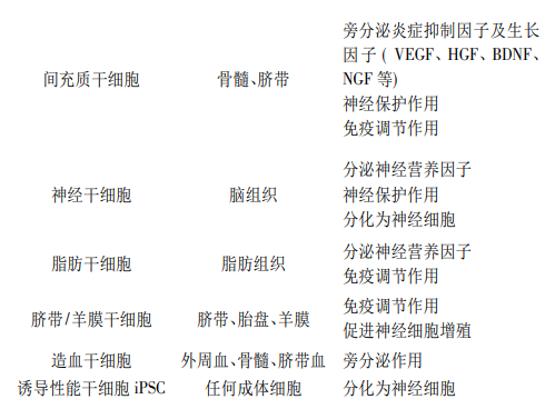 不同細胞類型干細胞治療自閉癥的作用機制