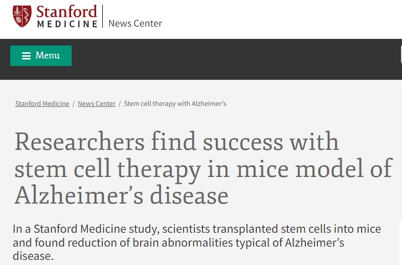 研究人員在阿爾茨海默病小鼠模型中發(fā)現(xiàn)干細(xì)胞療法取得成功