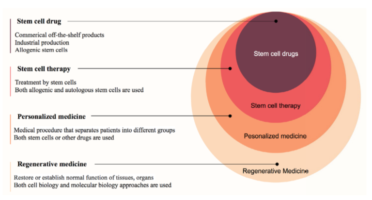 圖1：再生醫(yī)學中的干細胞藥物