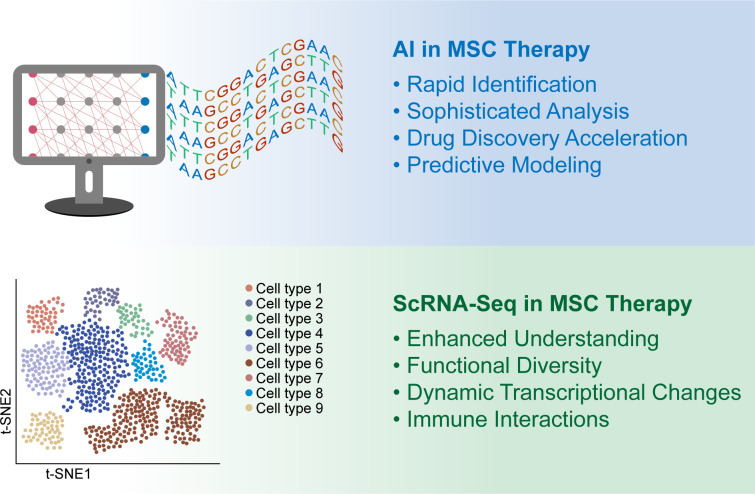 圖1：人工智能 (AI) 和單細胞RNA測序 (scRNA-seq) 用于增強間充質(zhì)干細胞 (MSC) 的臨床應用。