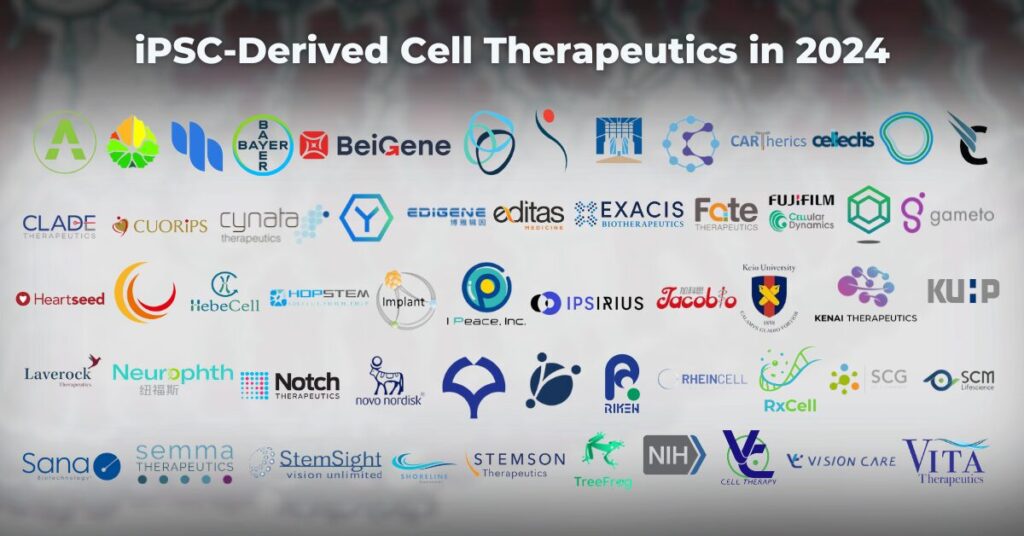 2024年研發(fā)iPSC細胞治療的公司有哪些？有哪些臨床試驗項目？