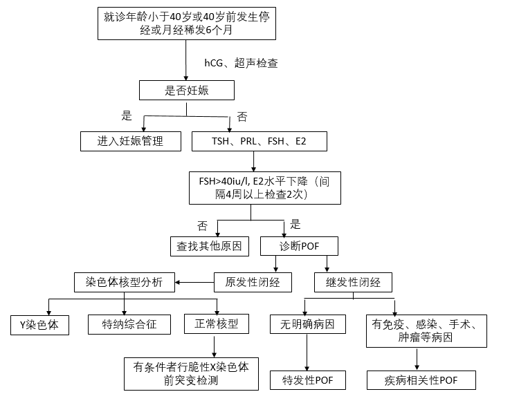 卵巢早衰診斷的流程：