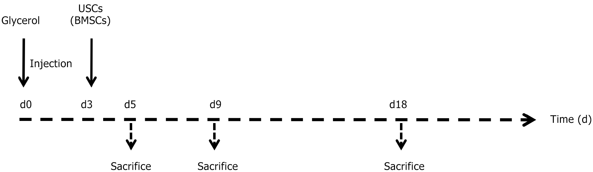 圖2：實(shí)驗(yàn)時(shí)間表