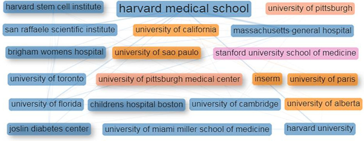 圖4：干細(xì)胞治療1型糖尿病研究的主要機(jī)構(gòu)的合作網(wǎng)絡(luò)。