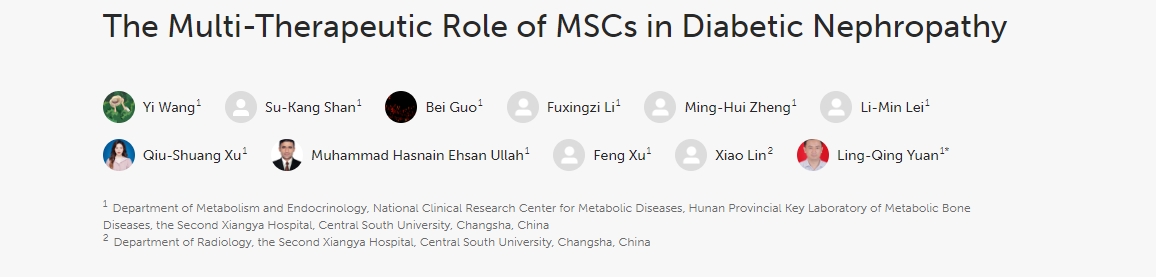 MSCs在糖尿病腎病中的多重治療作用