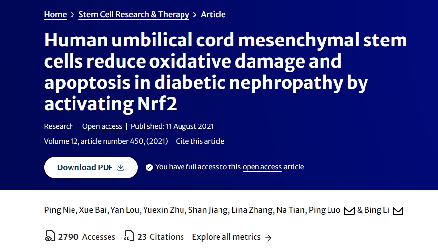 人臍帶間充質(zhì)干細(xì)胞通過(guò)激活Nrf2減少糖尿病腎病中的氧化損傷和細(xì)胞凋亡