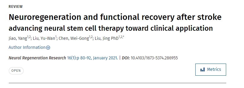 中風(fēng)后的神經(jīng)再生和功能恢復(fù)推動(dòng)神經(jīng)干細(xì)胞治療走向臨床應(yīng)用