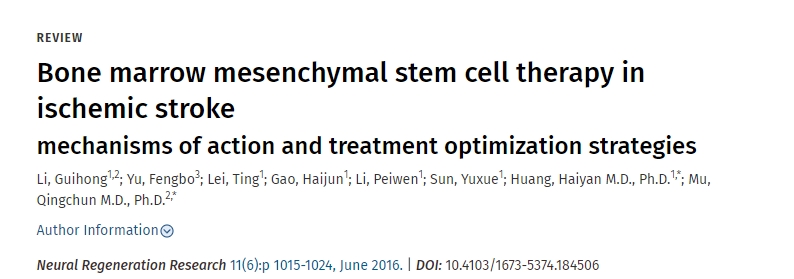骨髓間充質(zhì)干細(xì)胞治療缺血性腦卒中的作用機(jī)制及治療優(yōu)化策略