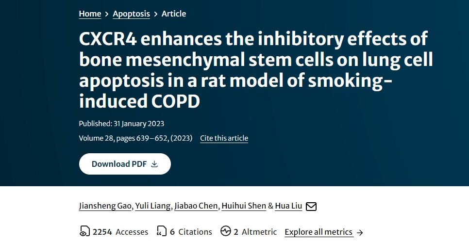 CXCR4 增強骨髓間充質(zhì)干細胞對吸煙誘發(fā)的 COPD 大鼠肺細胞凋亡的抑制作用