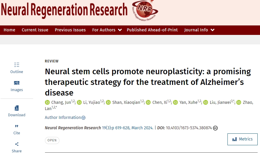 神經(jīng)干細(xì)胞促進(jìn)神經(jīng)可塑性：一種治療阿爾茨海默病的有前途的治療策略