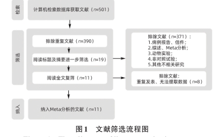 文獻篩選流程圖