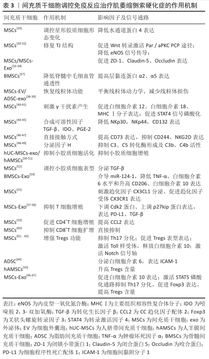 間充質干細胞調控免疫反應治療肌萎縮側索硬化癥的作用機制