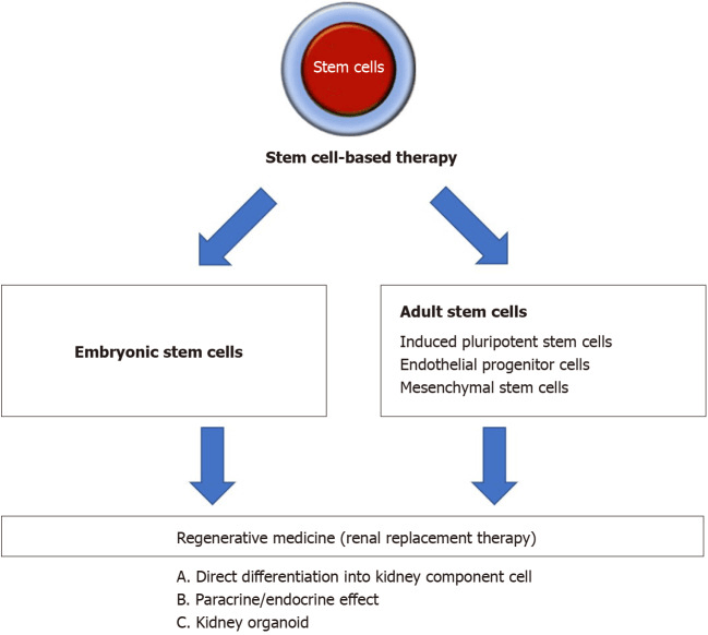 圖1：基于干細胞治療腎臟疾病的策略概述