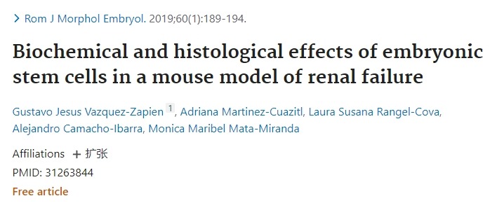 胚胎干細胞在小鼠腎衰竭中的生化和組織學(xué)作用