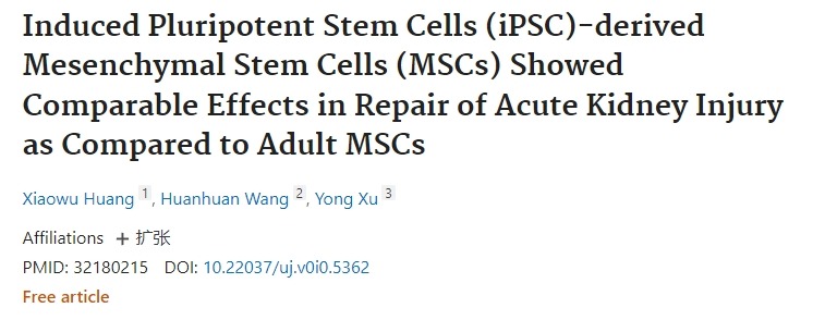 誘導(dǎo)性多能干細胞 (iPSC) 衍生的間充質(zhì)干細胞 (MSC) 在修復(fù)急性腎損傷方面表現(xiàn)出與成人MSC相當(dāng)?shù)男Ч? class=