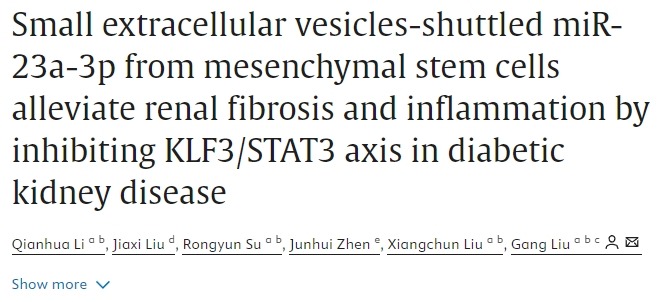 間充質(zhì)干細胞通過抑制糖尿病腎病中的KLF3/STAT3軸減輕腎臟纖維化和炎癥