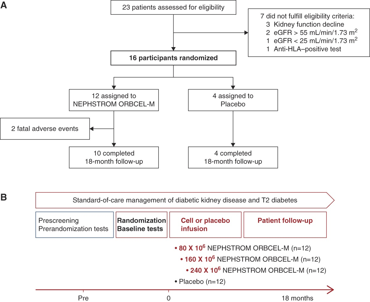 NEPHSTROM試驗設(shè)計摘要