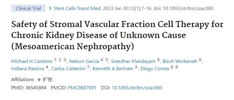基質(zhì)血管成分細(xì)胞療法治療原因不明的慢性腎?。ㄖ忻乐弈I?。┑陌踩? class=